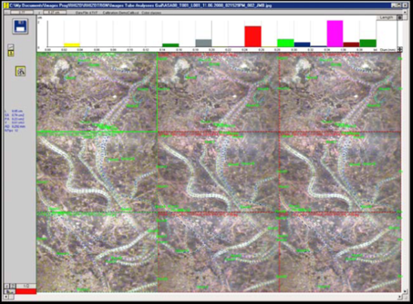 根系分析.png 根系分析.png