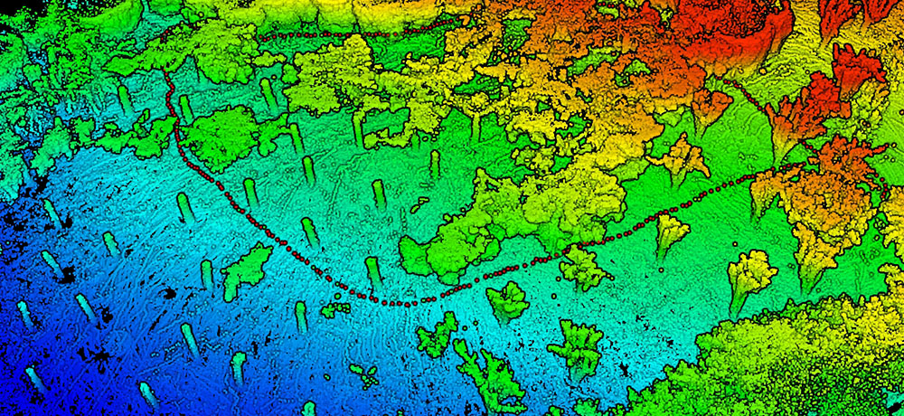 林業-50.jpg 林業-50.jpg