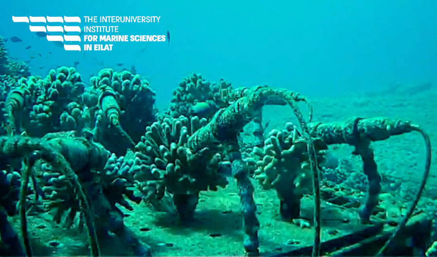 圖322022801.jpg 圖322022801.jpg