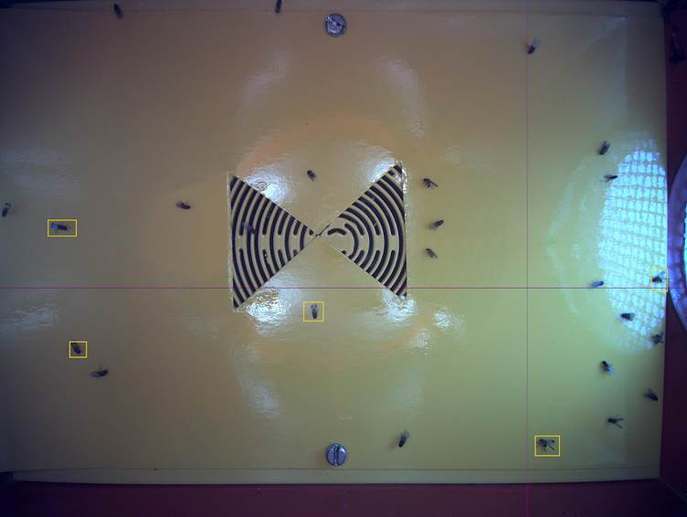 圖片11.png 圖片11.png