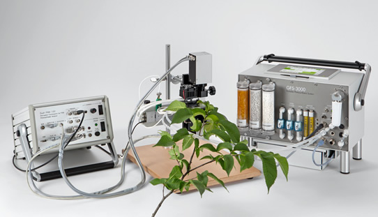 2008-2.jpg 2008-2.jpg