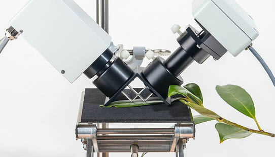 2020-1.jpg 2020-1.jpg