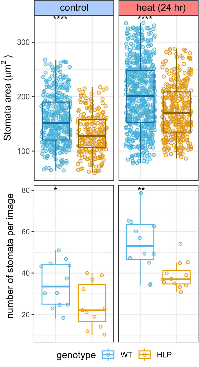 圖225092201.jpg 圖225092201.jpg