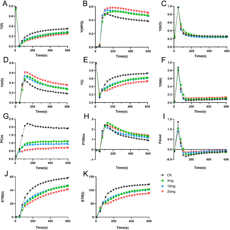 @3 2025-Xiang-Plant Stress-2.jpg @3 2025-Xiang-Plant Stress-2.jpg