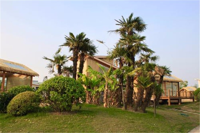 [上海長(zhǎng)興島漁灣老碼頭]+輕松愉悅一日旅游團(tuán)建活動(dòng)