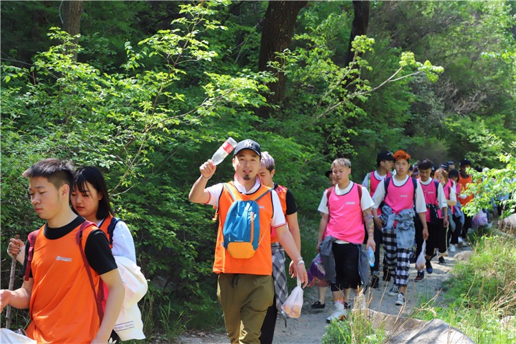 [上海崇明島森林公園]-野外徒步一日團建