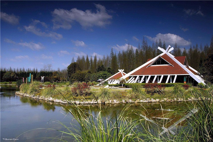 [上海崇明島森林公園]-野外徒步一日團建