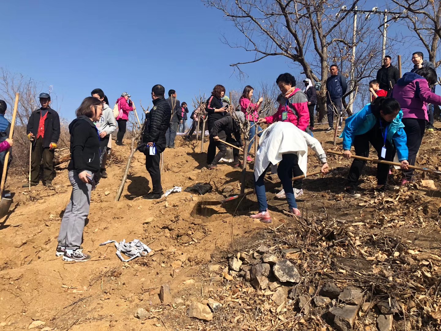[春季植樹]+守護(hù)藍(lán)天懷柔一日春季植樹活動(dòng)
